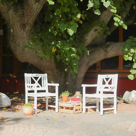 Auberge-Living Friedrichsdorf Buitenkant foto